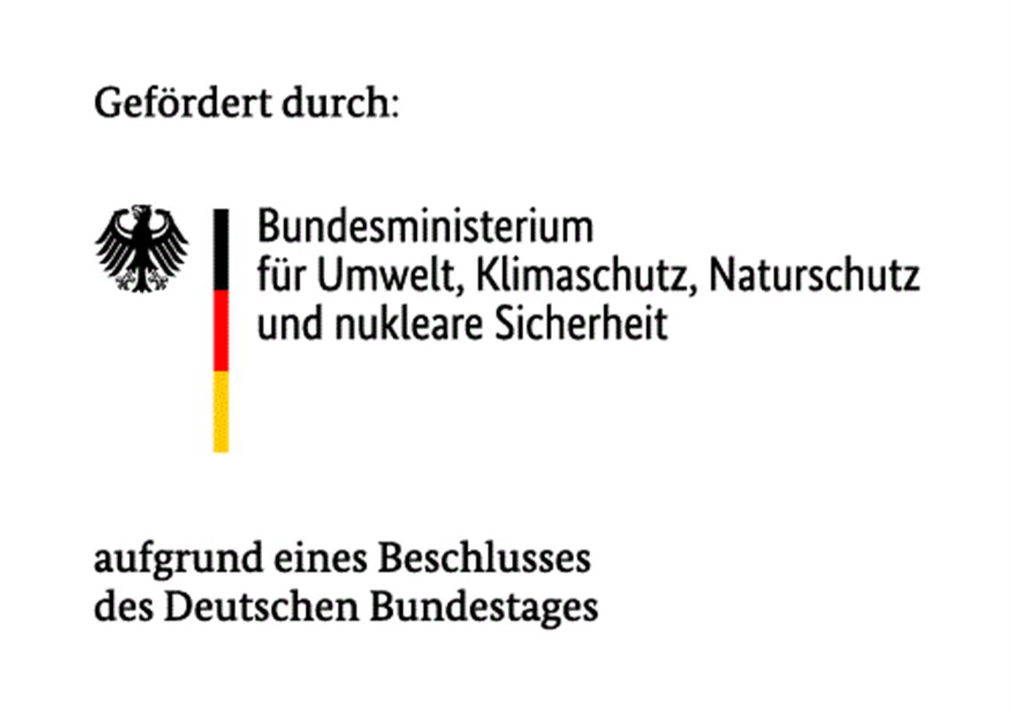 Klimaanpassung an der accadis International School: Projekt „AnpaSo FSP 1“